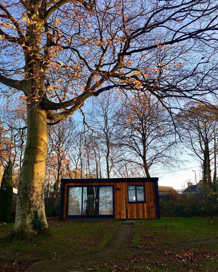 Cozy Snowdonia Chalet كارنارفون المظهر الخارجي الصورة